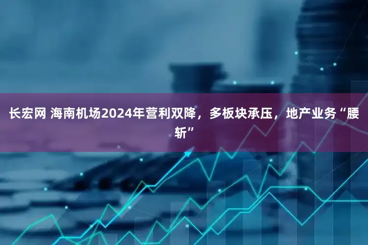 长宏网 海南机场2024年营利双降，多板块承压，地产业务“腰斩”