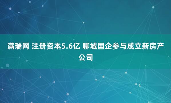 满瑞网 注册资本5.6亿 聊城国企参与成立新房产公司