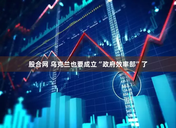 股合网 乌克兰也要成立“政府效率部”了