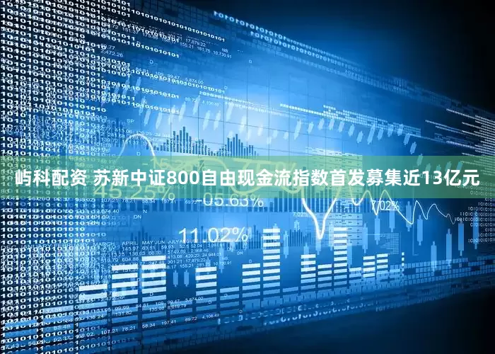 屿科配资 苏新中证800自由现金流指数首发募集近13亿元
