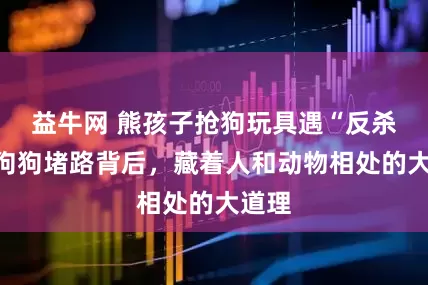益牛网 熊孩子抢狗玩具遇“反杀”：狗狗堵路背后，藏着人和动物相处的大道理