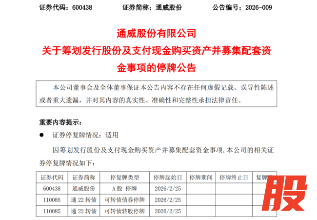 800亿硅料巨头，收购百亿独角兽！