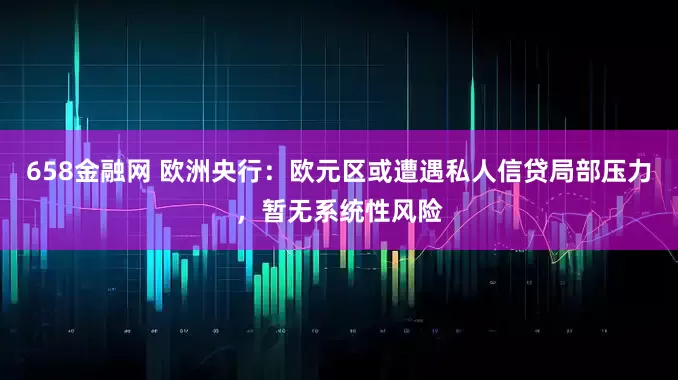 658金融网 欧洲央行：欧元区或遭遇私人信贷局部压力，暂无系统性风险